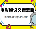电影解说文案思路课，让你快速掌握文案编写的技巧（3节视频课程）-林文副业站