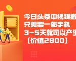 今日头条中视频搬运项目，只需要一部手机3-5天就可以产生利润（价值2800元）-林文副业站