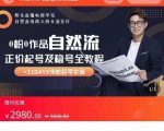 0粉0作品自然流正价起号及稳号全教程，专业自然流起号机构流程化教学（价值2980元）-林文副业站