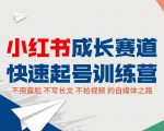 小红书成长赛道快速起号训练营，不露脸不写长文不拍视频，0粉丝冷启动变现之路-林文副业站