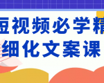 短视频必学精细化文案课，提升你的内容创作能力、升级迭代能力和变现力（价值333元）-林文副业站