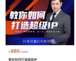 教你如何打造超级IP，抖音流量红利新机遇（价值980元）-林文副业站