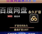 百度网盘无限扩容技术，外面卖399的，无论自己用还是用做引流都可以-林文副业站