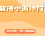 超级蓝海中的冷门项目，文档工作，好玩又赚钱，月入10000+-林文副业站