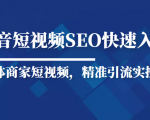 抖音短视频Seo搜索排名优化新手快速入门教程，实体商家短视频，精准引流实操课-林文副业站