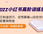 2022小红书高阶训练营：爆文制造技巧，低预算高roi投放技巧，内容营销思维-林文副业站