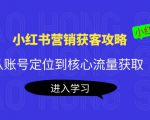 小红书营销获客攻略：从账号定位到核心流量获取，爆款笔记打造-林文副业站