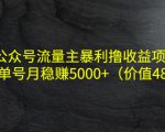 公众号流量主暴利撸收益项目，单人单号月稳赚5000+（价值480元）-林文副业站