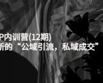 新媒体IP内训营(12期)，一套全新的“公域引流，私域成交”IP打法，直接带走-林文副业站