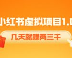 《小红书虚拟项目1.0》账号注册+养号+视频制作+引流+变现，几天就赚两三千-林文副业站