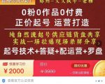 0粉0作品0付费正价起号9月-10月新课，纯自然流起号（起号技术+答疑+配运营+罗盘）-林文副业站
