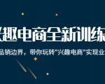 兴趣电商全新训练营：打破品销边界，带你玩转“兴趣电商“实现业务增长-林文副业站