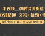 中视频二创解说训练营：从0到精通 文案+标题+素材、月入5000到5W-林文副业站
