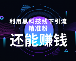 利用黑科技线下精准引流，一部手机可操作，还能赚钱【视频+文档】-林文副业站
