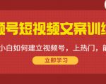 视频号短视频文案训练营：0基础小白如何建立视频号，上热门，能卖货！-林文副业站