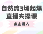 自然流3场起爆直播实操课 双标签交互拉号实战系统课-林文副业站