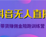 抖音无人直播带货赚佣金陪跑训练营（价值6980元）-林文副业站