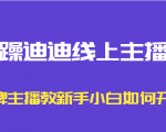 暴躁迪迪线上主播课，金牌主播教新手小白如何开播-林文副业站