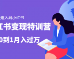 小红书变现特训营：带你快速入局小红书，从0到1月入过万-林文副业站