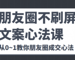 朋友圈不刷屏文案心法课 人人都要懂的商业逻辑 从0~1教你朋友圈成交心法-林文副业站