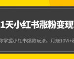 21天小红书涨粉变现营（第4期）：带你掌握小红书爆款玩法，月赚10W+秘密-林文副业站