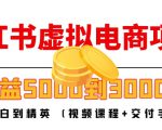 小红书虚拟电商项目：从小白到精英 月收益5000到30000 (视频课程+交付手册)-林文副业站
