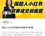 保险人小红书获客成交训练营，0基础高效玩转小红书，可复制的获客成交之路-林文副业站