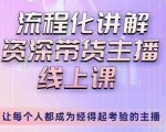 婉婉-主播拉新实操课，流程化讲解资深带货主播，让每个人都成为经得起考验的主播-林文副业站