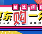 外面收费1980的最新京东无限一分购项目，一天轻松几百单（玩法+教程+软件）-林文副业站
