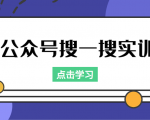 公众号搜一搜实训，收录与恢复收录、 排名优化黑科技，附送工具（价值998元）-林文副业站
