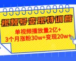 21天视频号变现特训营：单视频播放量2亿+3个月涨粉30w+变现20w+（第14期）-林文副业站