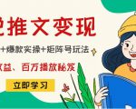小说推文训练营：引流技巧+爆款实操+矩阵号玩法，百倍效益、百万播放秘笈-林文副业站