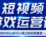 短视频游戏赚钱特训营，0门槛小白也可以操作，日入1000+-林文副业站
