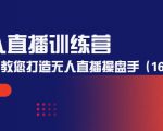 无人直播训练营：手把手教您打造无人直播操盘手（16节课时）-林文副业站