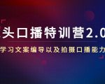 镜头口播特训营2.0版，学习文案编导以及拍摄口播能力（50节课时）-林文副业站
