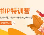 小红书IP特训营：从搭建-制作-爆款脚本等等，做一个赚钱的小红书号-林文副业站