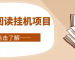 全自动阅读挂机项目，号称单窗10r，全套脚本+教程，小白上手简单-林文副业站