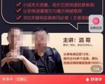 最新淘系引力魔方低价引流课程，小成本大流量，低价引流快速拉新收割-林文副业站