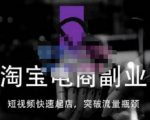 蓝Sir派·淘宝短视频快速起店，替代传统搜索方式，学会做一个不一样的淘宝店-林文副业站