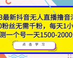 2023最新抖音无人直播撸音浪项目，0粉丝无需千粉，每天1小时，实测一个号一天1500-2000元-林文副业站