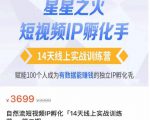 瑶瑶·自然流短视频IP孵化第二期，14天线上实战训练营，赋能100个人成为有数据能赚钱的独立IP孵化手-林文副业站