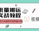 视频号批量搬运实战操作运营赚钱教程，傻瓜式批量制作高质量内容【附视频教程+PPT】-林文副业站