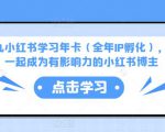 厦九九小红书学习年卡（全年IP孵化），沉浸式学习，一起成为有影响力的小红书博主-林文副业站