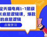 大圣淘宝天猫电商1-7层级盈利增长底层逻辑课，爆款的底层逻辑-林文副业站