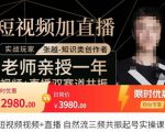 张越·短视频+直播，自然流三频共振起号实操课，​短视频所有流量玩法讲解-林文副业站