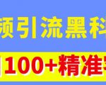 视频引流黑科技玩法，不花钱推广，视频播放量达到100万+，每日100+精准客源-林文副业站