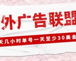 外面收费1980的最新国外LEAD广告联盟搬砖项目，单号一天至少30美金【详细玩法教程】-林文副业站
