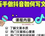 新手做抖音如何写文案，手把手实操如何拆解热门文案-林文副业站