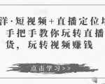 于洋·短视频+直播定位培训，手把手教你玩转直播卖货，玩转视频赚钱-林文副业站