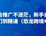 亚马逊广告推广不迷茫，新手卖家产品运营入门到精通（恐龙跨境电商）-林文副业站